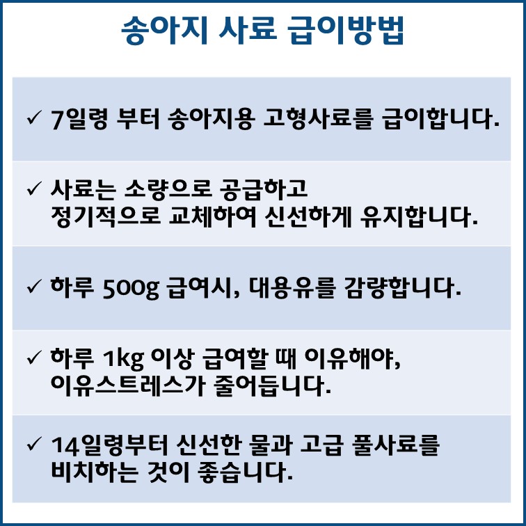 밴드 홍보5.jpg